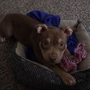 Meet your Posher, Terrence